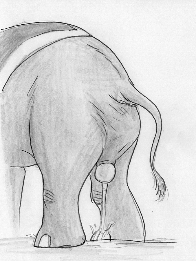 amniotic_fluid amniotic_sac birth bodily_fluids bulge bulge_from_behind butt clothing elephant elephantid female feral genital_fluids genitals labor leovictor mammal mrs._jumbo paintbrush_tail placenta proboscidean pussy rear_view shawl solo standing tail vaginal water_broke