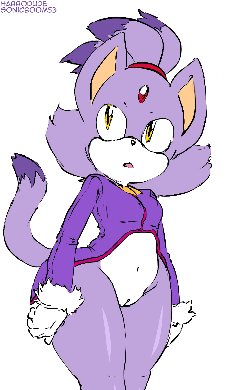 2014 amber_eyes anthro argento blaze_the_cat bottomless clothed clothing domestic_cat edit felid feline felis female genitals habbodude hair hi_res mammal multicolored_hair navel pussy sega solo sonic_the_hedgehog_(series) two_tone_hair wide_hips