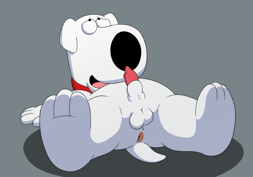 anthro anus balls brian_griffin canid canine canis collar domestic_dog family_guy feral fur genitals knot looking_up lying male male/male mammal open_mouth orgasm solo spread_legs spreading white_body white_fur