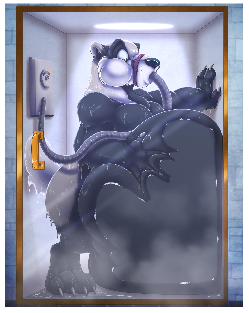 4_fingers 4_toes anthro badger belly belly_expansion belly_inflation belly_on_glass big_belly black_belly black_body black_fur black_nose bloo cheek_bulge claws expansion feet fingers fur glass_door green_eyes hand_on_stomach hand_on_wall handle hi_res hose_in_mouth hyper hyper_belly inflation liquid_inflation looking_at_belly looking_down looking_down_at_self male mammal muscular muscular_anthro muscular_male mustelid musteline pecs shower solo standing steam thick_thighs toes water_inflation wet wet_body wet_fur wixter