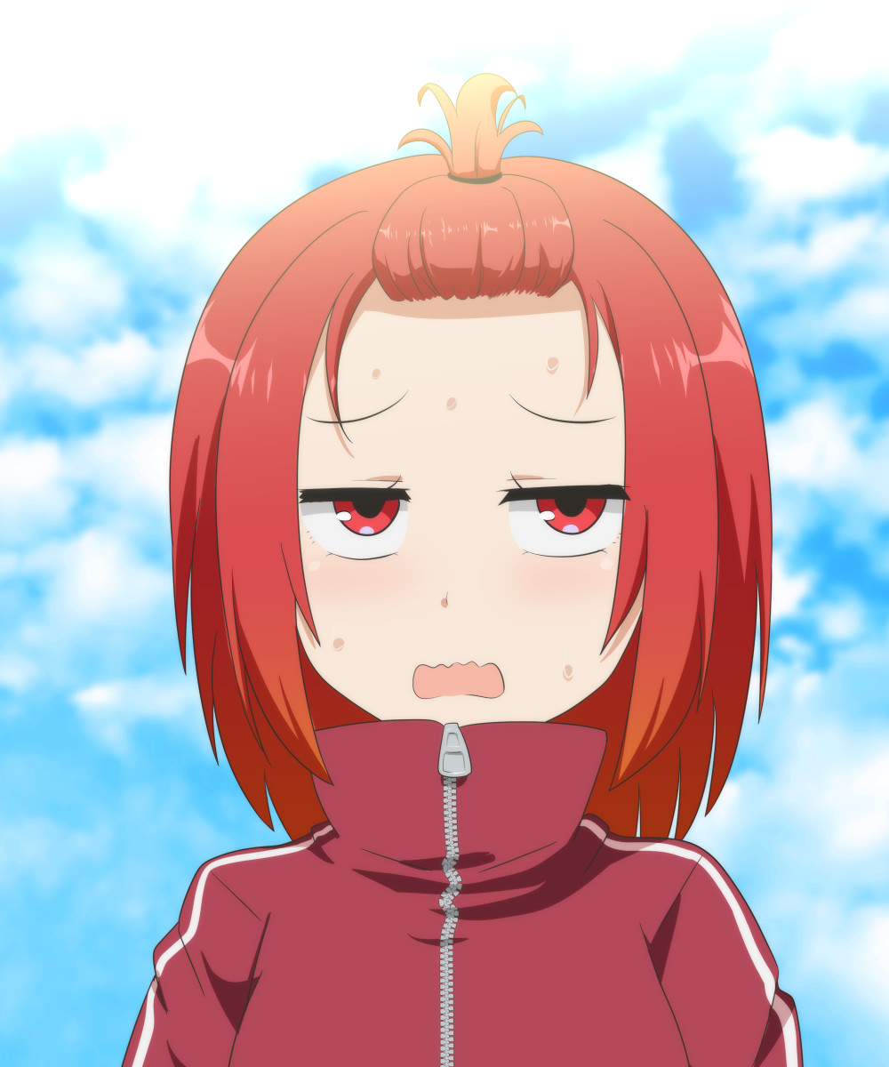 1girl alternate_costume bangs_pinned_back blue_sky blurry blurry_background blush cato_(monocatienus) cloud cloudy_sky day depth_of_field half-closed_eyes highres jacket jitome open_mouth outdoors red_eyes red_hair red_jacket sanpaku sekibanki short_hair sky solo sweat sweatdrop touhou track_jacket wavy_mouth