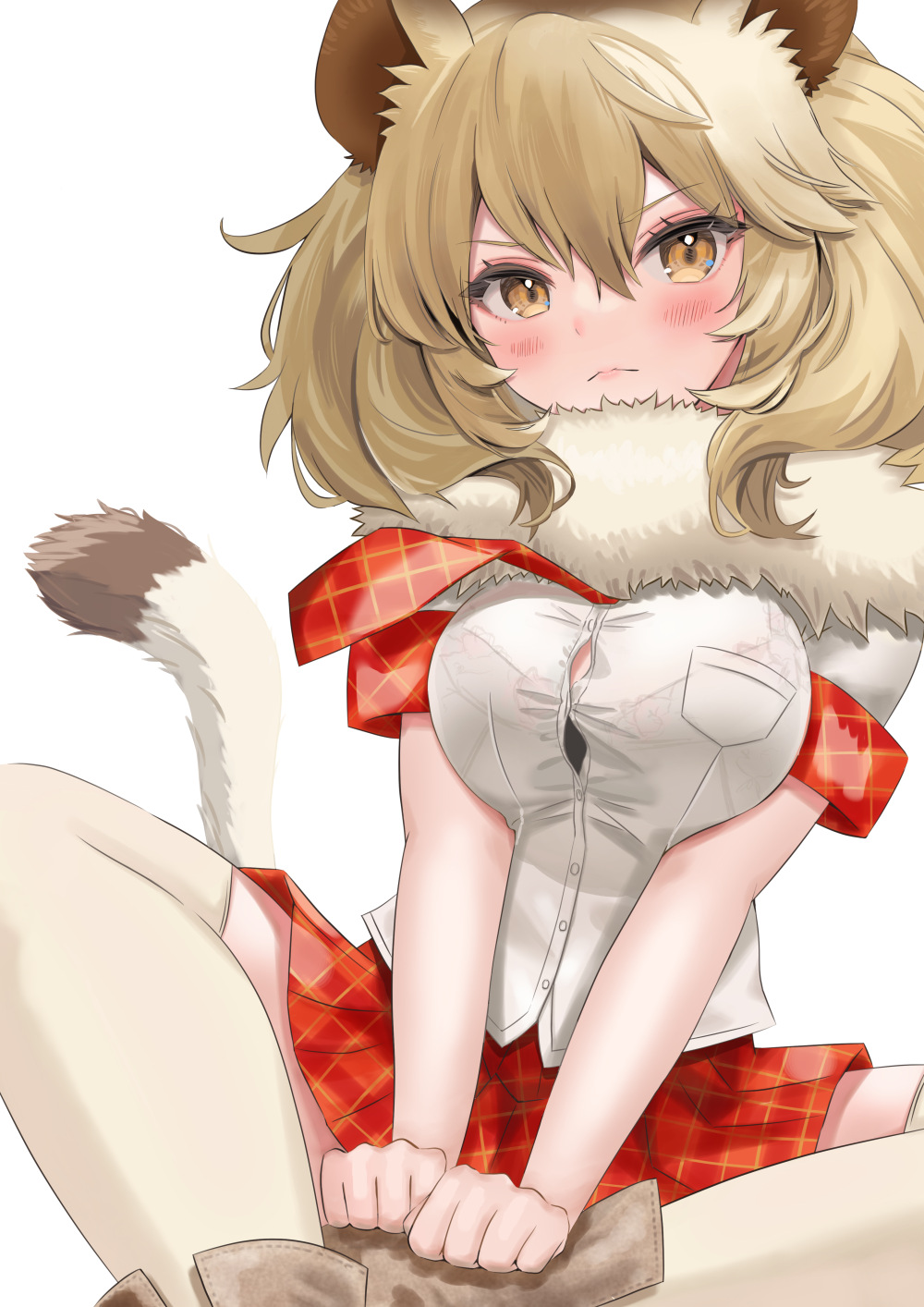 &gt;:( 1girl animal_ears bangs bare_arms big_hair black_bra blush boots bra bra_peek bra_visible_through_clothes breast_pocket breast_squeeze breasts brown_hair button_gap buttons closed_mouth commentary_request dress_shirt dutch_angle eyelashes fur_collar hair_between_eyes hands_on_feet head_tilt highres indian_style kemono_friends knees_apart_feet_together light_brown_hair lion_(kemono_friends) lion_ears lion_girl lion_tail looking_at_viewer microskirt miyuma multicolored_hair necktie partial_commentary plaid plaid_necktie plaid_skirt plaid_sleeves plaid_trim pocket red_necktie red_skirt shirt short_sleeves simple_background sitting skirt solo tail taut_clothes taut_shirt thighhighs two-tone_hair underwear v-shaped_eyebrows v_arms white_background white_shirt yellow_eyes zettai_ryouiki