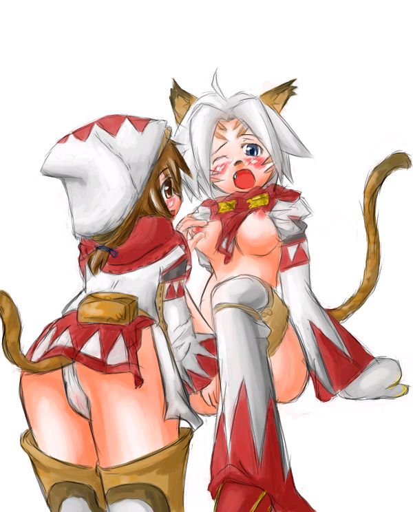 animal_ears artist_request blue_eyes blush breasts brown_hair final_fantasy final_fantasy_xi large_breasts mithra multiple_girls nipples panties tail underwear wet white_hair white_mage white_panties yellow_eyes yuri