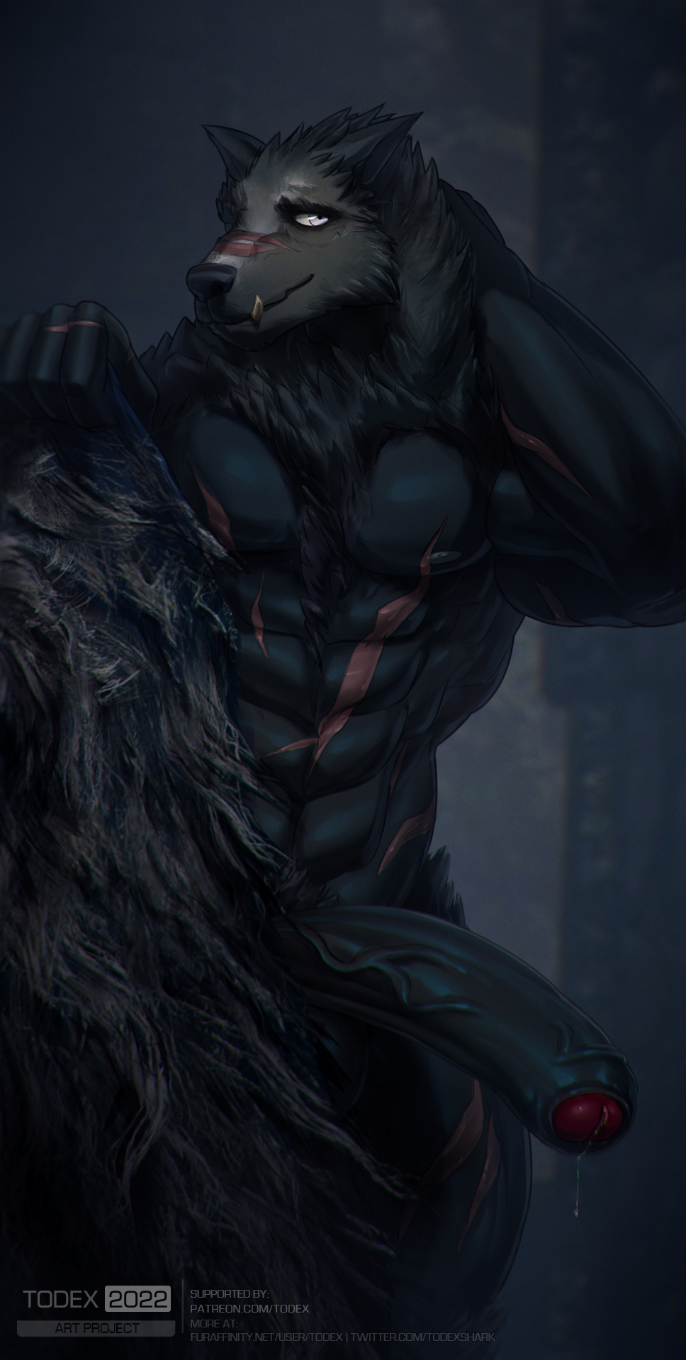 anthro blaidd_(elden_ring) elden_ring fangs fromsoftware genitals hi_res humanoid long_penis male muscular muscular_anthro muscular_male penis scar solo todex vein veiny_penis video_games