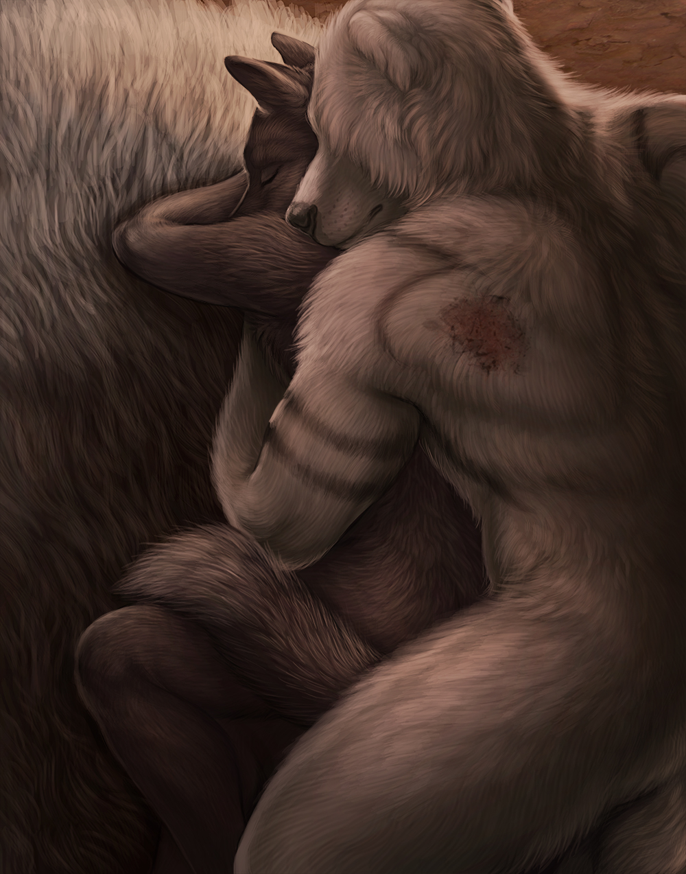 anthro black_nose canid canine canis duo eyes_closed finnegan_(rukis) fur grey_body grey_fur grey_tail hi_res larger_male lying male male/male mammal nude rukis size_difference sleeping smaller_male spooning story story_in_description tattoo tulimak_(rukis) ursid white_body white_fur wolf