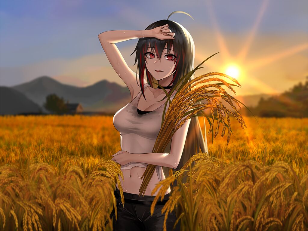 1girl :d ahoge arm_up bangs bare_arms black_hair black_pants blurry blurry_background breasts cleavage collarbone fate/empire_of_dirt game_cg groin hair_between_eyes holding liu_xiu_(fate/empire_of_dirt) long_hair looking_at_viewer medium_breasts midriff mountainous_horizon multicolored_hair navel open_mouth outdoors pants red_eyes red_hair shirt sleeveless sleeveless_shirt smile solo standing stomach sun sunlight tied_shirt tsuki_tokage two-tone_hair very_long_hair wheat_field white_shirt