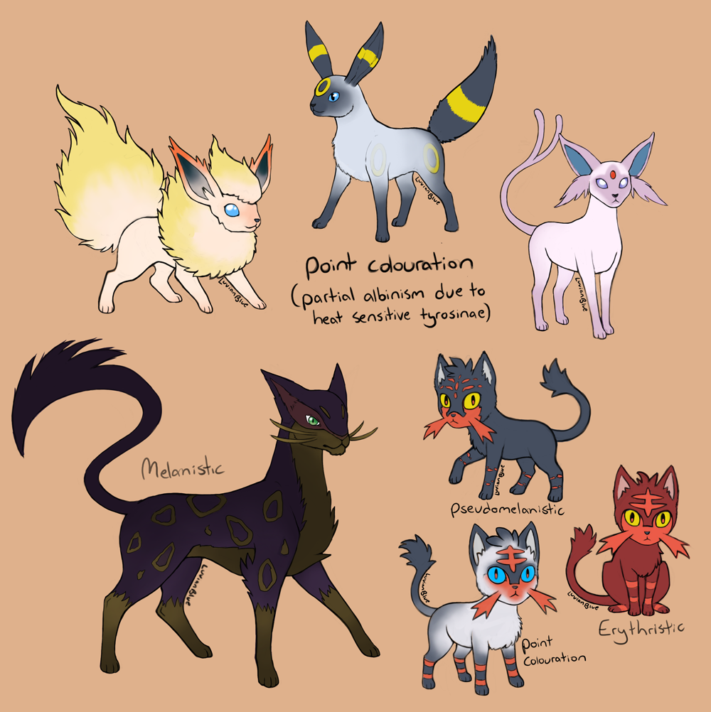 ambiguous_gender black_body black_fur canid canine eeveelution english_text erythristic espeon felid feline feral flareon forked_tail fur generation_1_pokemon generation_2_pokemon generation_5_pokemon generation_7_pokemon liepard litten luvianblue mammal melanistic nintendo paws point_coloration pokemon pokemon_(species) pseudomelanistic quadruped raised_tail tail text umbreon unusual_anatomy unusual_tail