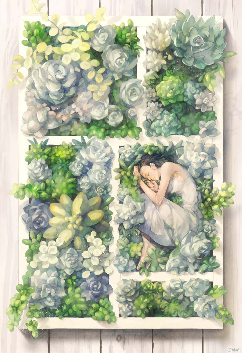 1girl bare_arms bare_shoulders barefoot black_hair blue_flower box breasts closed_eyes closed_mouth dress fetal_position flower frown highres in_box in_container minigirl original plant potted_plant profile sleeping sleeveless sleeveless_dress solo succulent_plant sundress white_flower wooden_floor yoshioka_(haco)