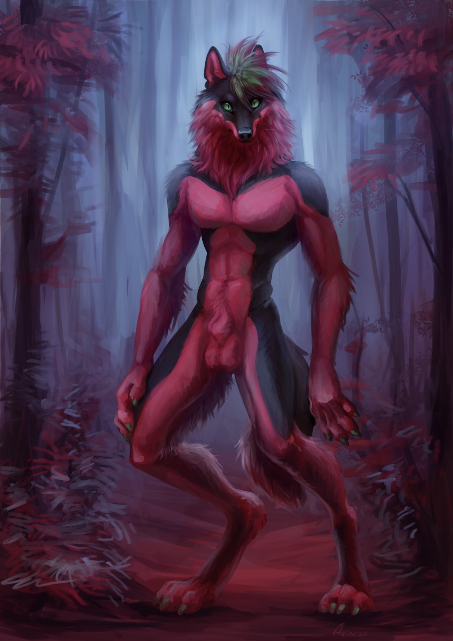 2018 akineza animal_genitalia anthro balls biped black_body black_fur canid canine canis detailed_background digitigrade forest fully_sheathed fur genitals green_eyes green_hair hair hi_res looking_at_viewer male mammal nude outside plant red_body red_fur sheath solo standing tree wolf