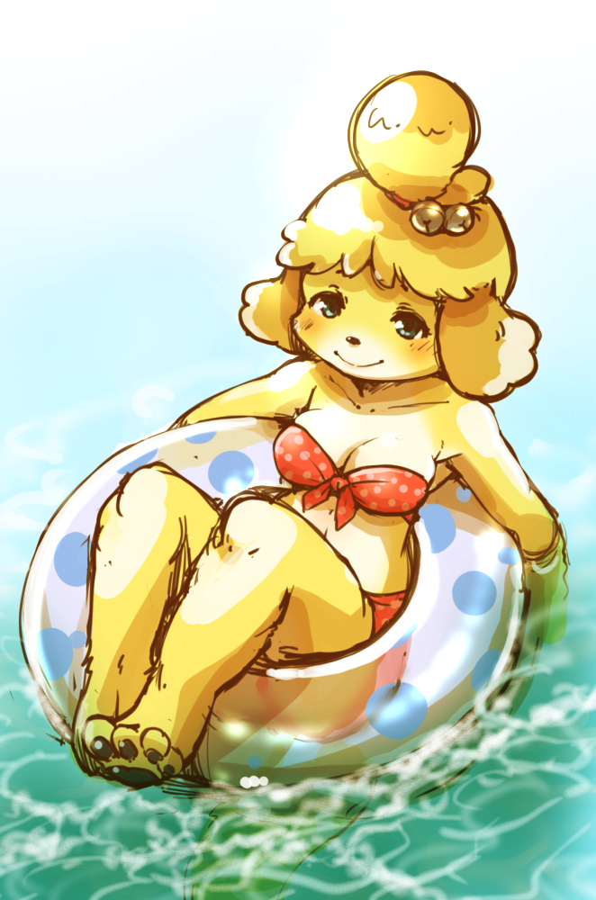 1girl afloat alternate_costume animal_crossing animal_ears animal_feet animal_nose bangs bare_shoulders barefoot bell bikini blonde_hair blue_background blush breasts cleavage closed_mouth collarbone commentary_request dog_ears dog_girl dog_tail feet front-tie_bikini front-tie_top furry furry_female gradient gradient_background green_eyes hair_bell hair_ornament hair_tie happy innertube isabelle_(animal_crossing) jingle_bell looking_at_viewer medium_breasts navel polka_dot polka_dot_bikini red_bikini setouchi_kurage short_hair skindentation smile solo swimsuit tail topknot transparent water