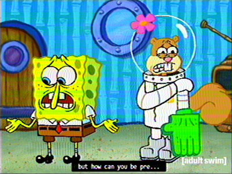 adult_swim animate_inanimate black_eyes blue_eyes cartoon_network clothing english_text female flag_for_deletion flower frown gloves handwear male mammal nickelodeon on_model plant robot_chicken rodent sandy_cheeks sciurid sponge spongebob_squarepants spongebob_squarepants_(character) stevensquareheaded text vhs_filter yellow_body yellow_skin