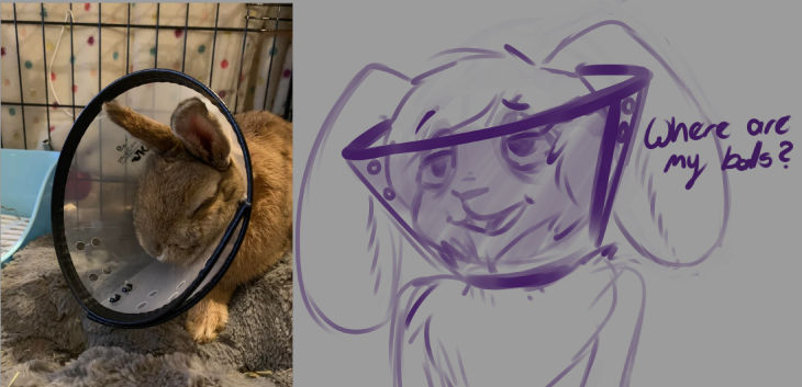 2022 after_surgery anthro chest_tuft cone dog_cone floppy_ears lagomorph leporid long_ears lucentleader male mammal meme_face pain photo rabbit silly sketch sunny_(lucentleader) tuft