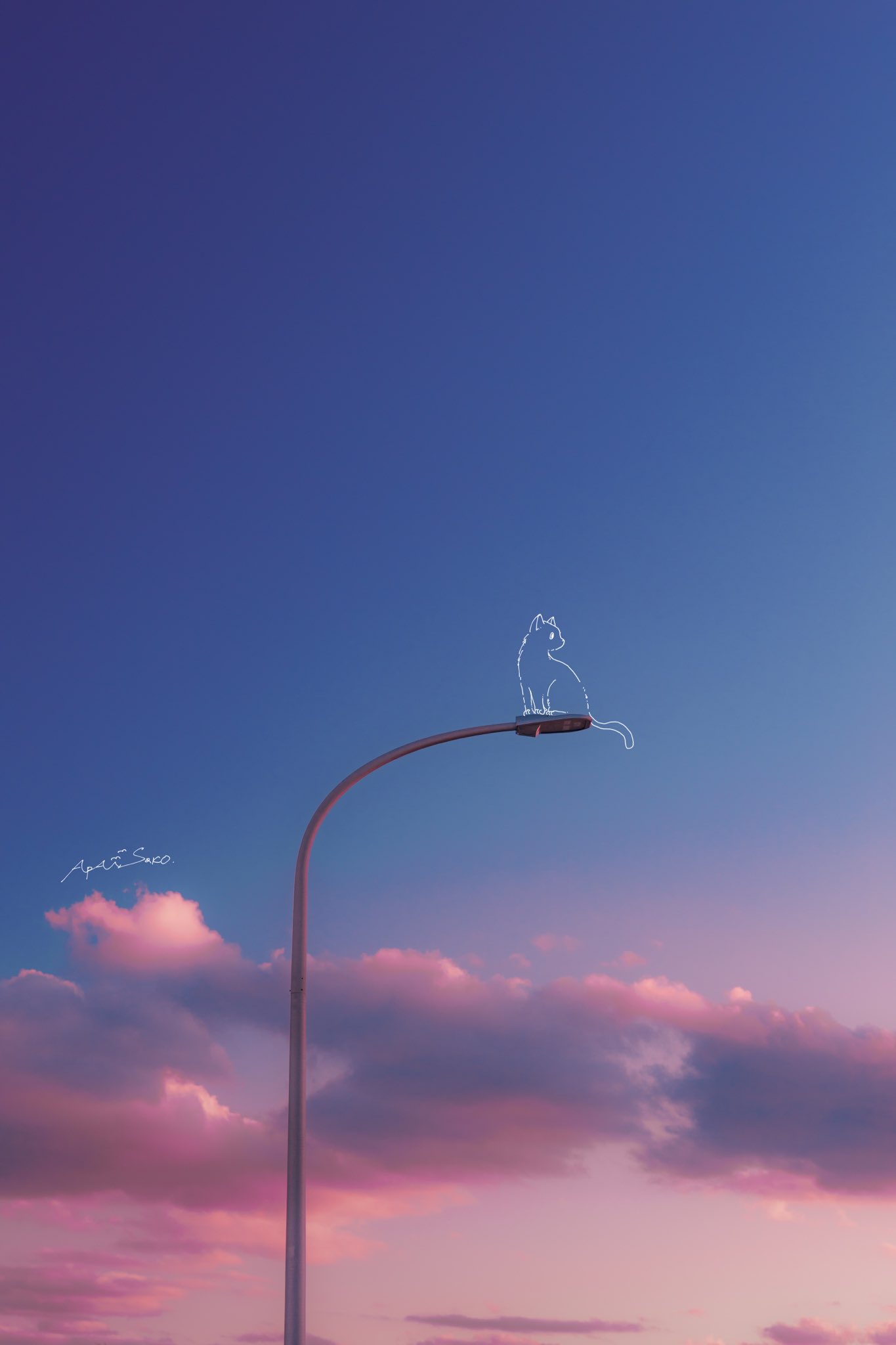 artist_name blue_sky cat cloud cloudy_sky commentary_request evening full_body gradient_sky greyscale_with_colored_background highres lamppost no_humans original outdoors photo_(medium) photo_background pink_sky sara_(sara2626_if) scenery signature sky solo wide_shot