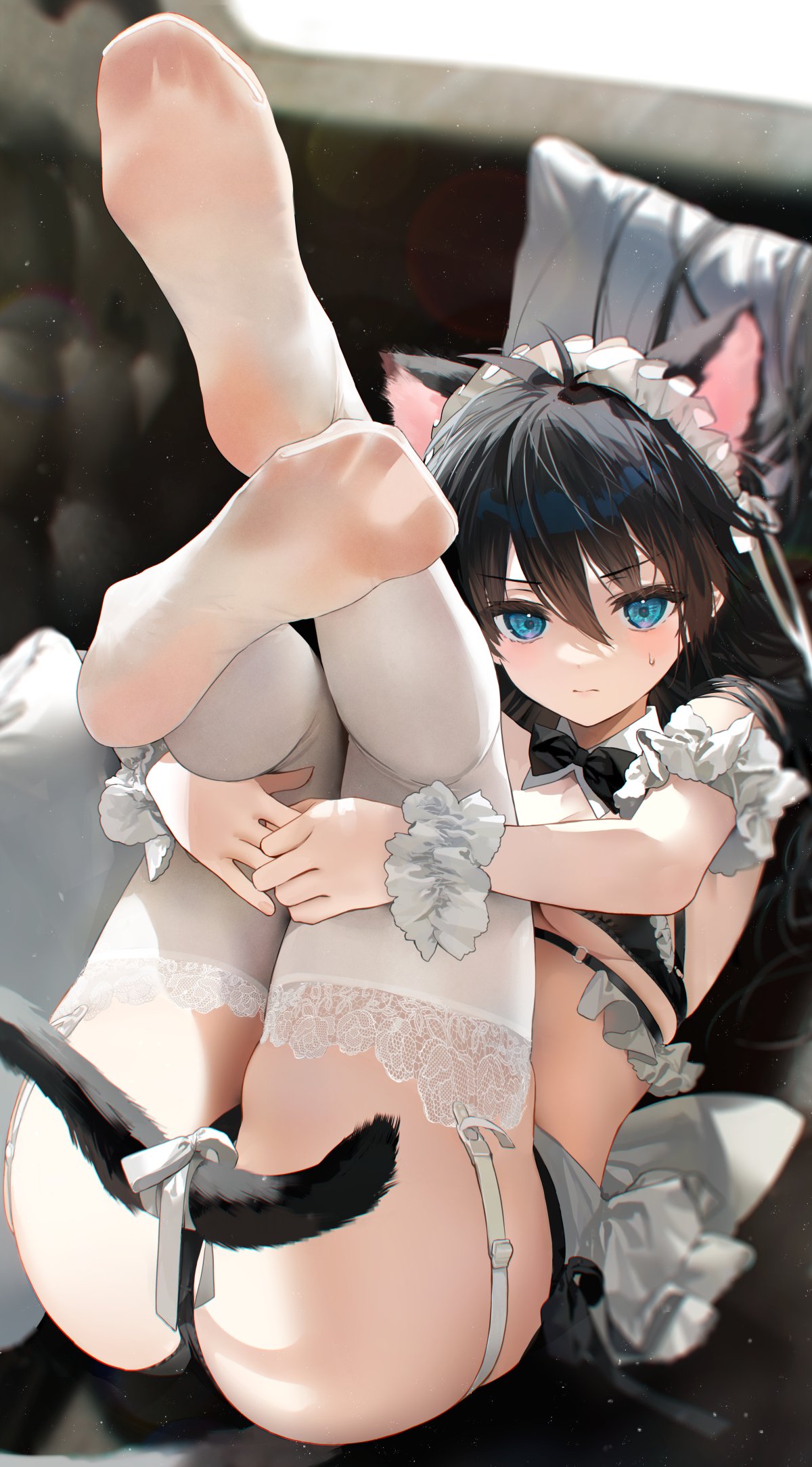 1girl animal_ears antenna_hair ass bangs black_bow black_bowtie black_bra black_hair black_panties blue_eyes blush bow bowtie bra breasts cat_ears cat_girl cat_tail closed_mouth detached_collar extra_ears feet garter_straps genderswap genderswap_(mtf) hair_between_eyes highres houshin_engi hugging_own_legs legs_up long_hair looking_at_viewer maid_headdress medium_breasts mimoza_(96mimo414) no_shoes panties ribbon solo taikoubou tail tail_ornament tail_ribbon thighhighs underwear white_ribbon white_thighhighs wrist_cuffs
