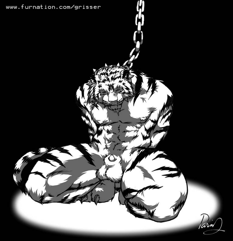 2004 anthro balls bdsm black_and_white bondage bound chain collar felid flaccid genitals grisser hands_behind_back kneeling looking_at_viewer male mammal monochrome muscular nipples pantherine penis solo spiked_collar spikes submissive submissive_male tiger