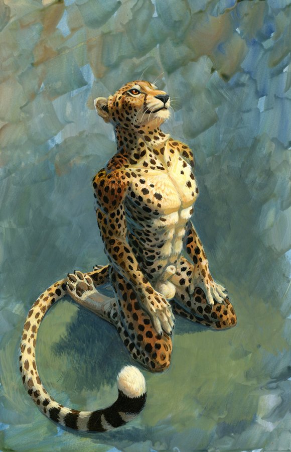2019 abs abstract_background animal_genitalia anthro athletic athletic_anthro balls cheetah felid feline fully_sheathed genitals grass hand_on_leg hands_on_legs hibbary kneeling looking_up male mammal mouth_closed nude orange_eyes outside pawpads pecs plant sheath solo spots