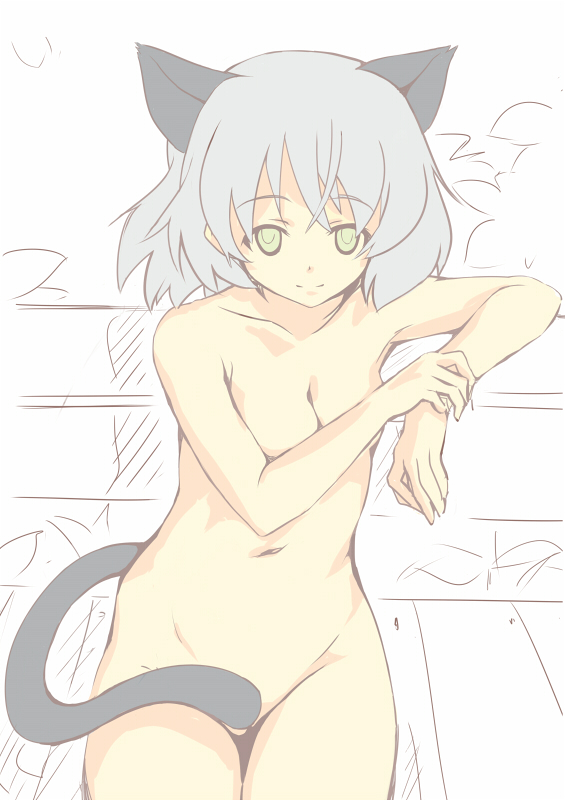 animal_ears breasts censored convenient_censoring daizu_sanchi green_eyes nude sanya_v_litvyak silver_hair small_breasts solo strike_witches tail world_witches_series