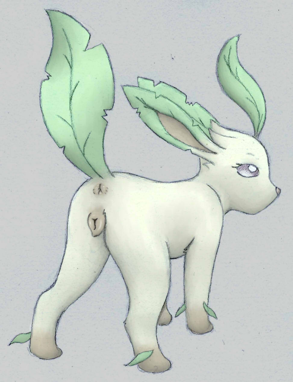 2016 animal_genitalia animal_pussy animew anus butt canine_pussy eeveelution female feral generation_4_pokemon genitals hi_res leafeon nintendo pokemon pokemon_(species) presenting presenting_hindquarters pussy raised_tail rear_view simple_background solo standing video_games white_body