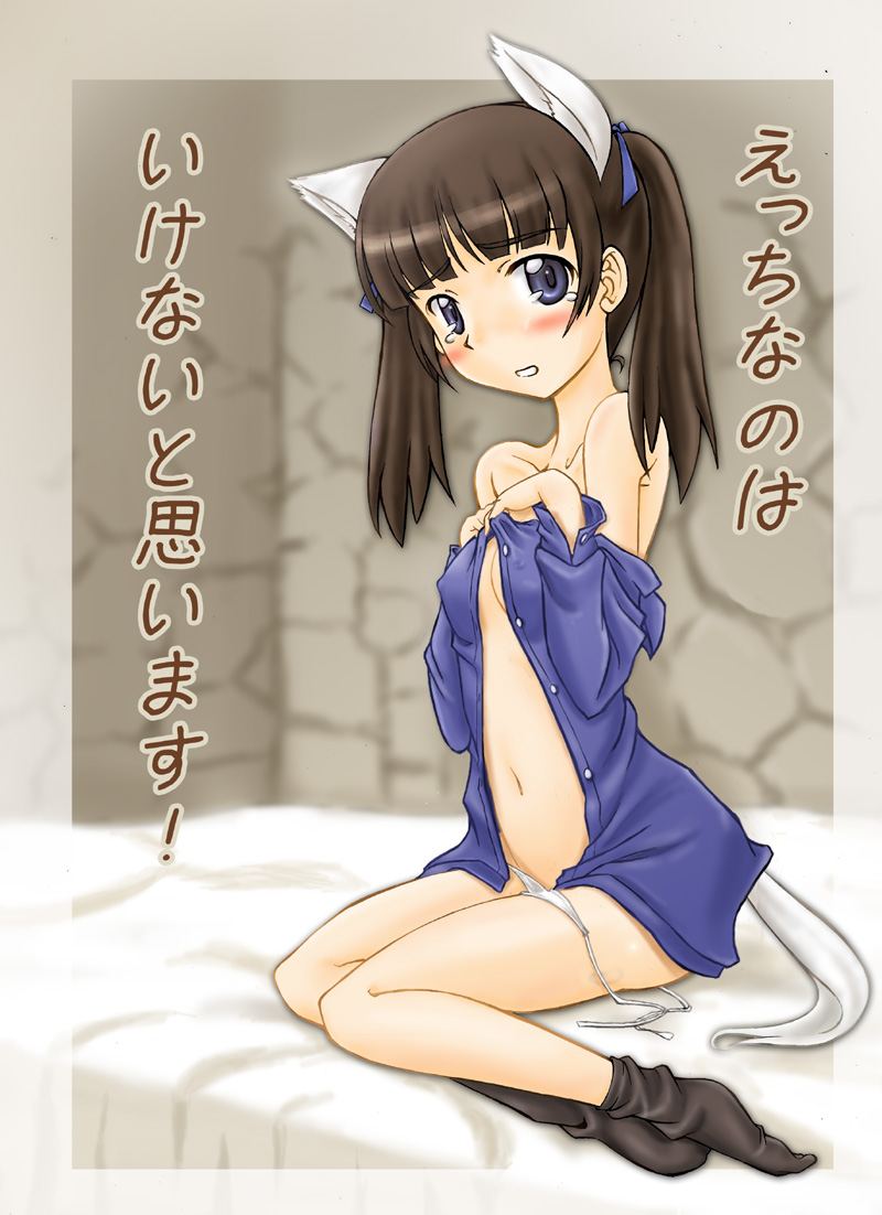 animal_ears blue_eyes blush brave_witches brown_hair cat_ears cat_tail check_translation georgette_lemare masana_hatuse pantyhose pantyhose_pull solo tail translated translation_request world_witches_series
