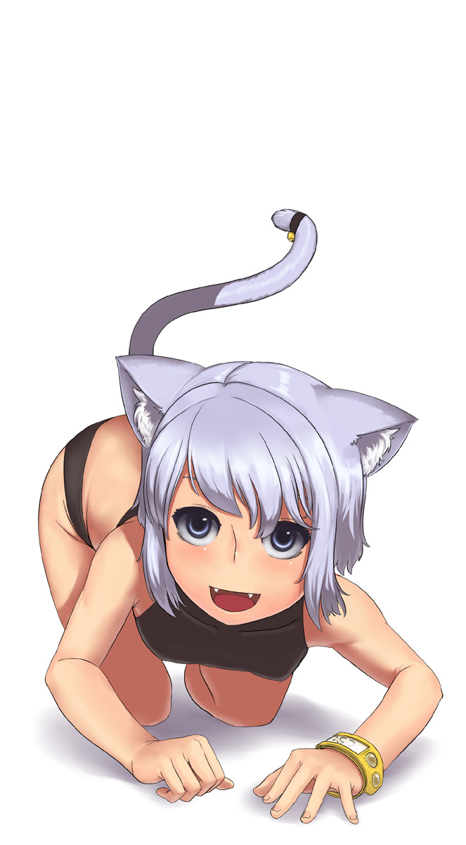 :d all_fours animal_ears blush cat_ears cat_tail fangs grey_eyes halterneck highres looking_at_viewer midori_(lucifer) midriff open_mouth original panties short_hair sidelocks silver_hair smile solo sports_bra tail underwear underwear_only watch white_background wristwatch