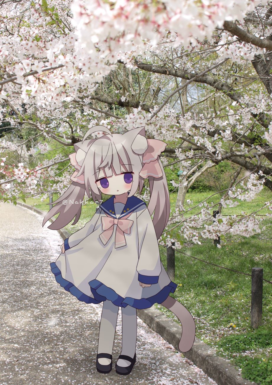 1girl :o ahoge animal_ear_fluff animal_ears black_footwear blue_sailor_collar blurry blurry_foreground blush bow branch cat_ears cat_girl cat_tail day depth_of_field dress flower grey_hair hair_ribbon highres long_hair long_sleeves looking_at_viewer nakkar original outdoors pantyhose parted_lips photo_background pink_bow pink_ribbon puffy_long_sleeves puffy_sleeves purple_eyes ribbon sailor_collar sailor_dress shoes sleeves_past_wrists solo standing tail tree twintails twitter_username watermark white_dress white_flower white_pantyhose