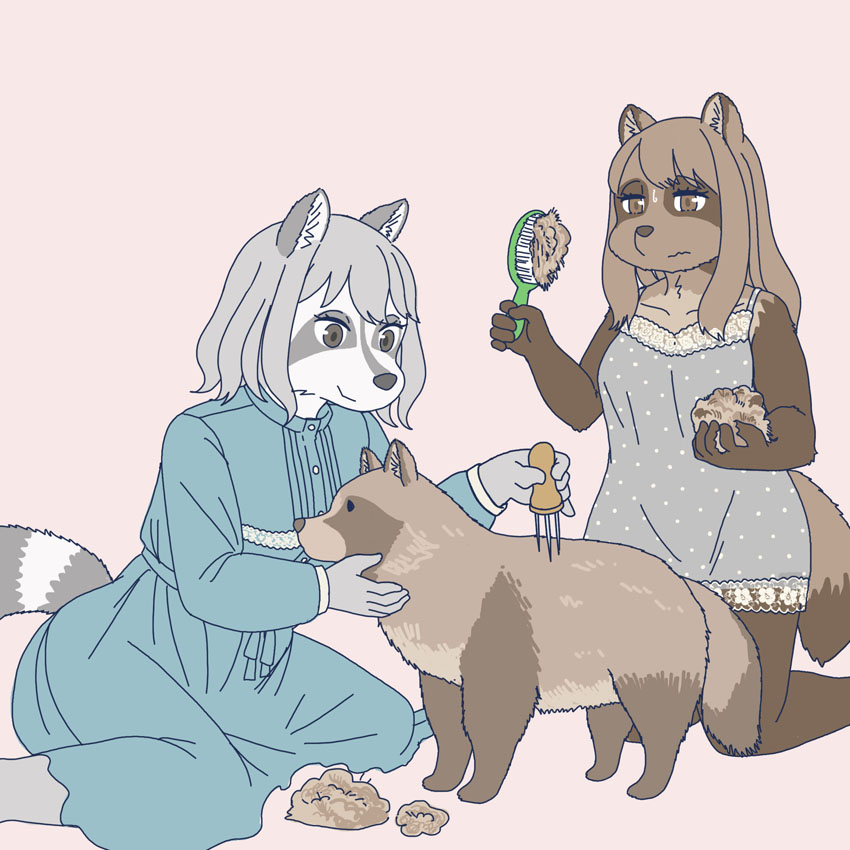 anthro brush canid canine clothed clothing duo ekaki510 female hairbrush kemono mammal procyonid raccoon raccoon_dog sculpting shedding tanuki