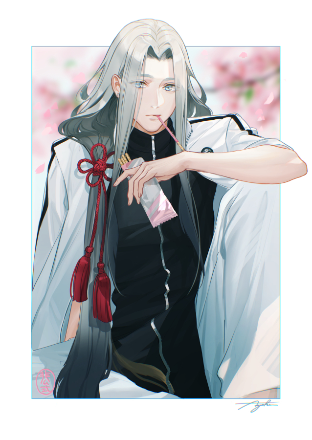 1boy black_hair black_shirt blue_eyes blurry blurry_background border cherry_blossoms closed_mouth commentary elbow_rest feather_hair feet_out_of_frame flower flower_knot food food_in_mouth gradient_hair grey_hair hair_ornament hair_over_shoulder himetsuru_ichimonji_(touken_ranbu) holding holding_food jacket jacket_on_shoulders knee_up long_hair looking_at_viewer low_ponytail male_focus multicolored_hair outside_border pants parted_bangs pink_flower pocky pocky_in_mouth shirt sidelocks signature sitting sleeves_rolled_up solo suda_ayaka symbol-only_commentary tassel tassel_hair_ornament touken_ranbu upper_body white_border white_hair white_jacket white_pants