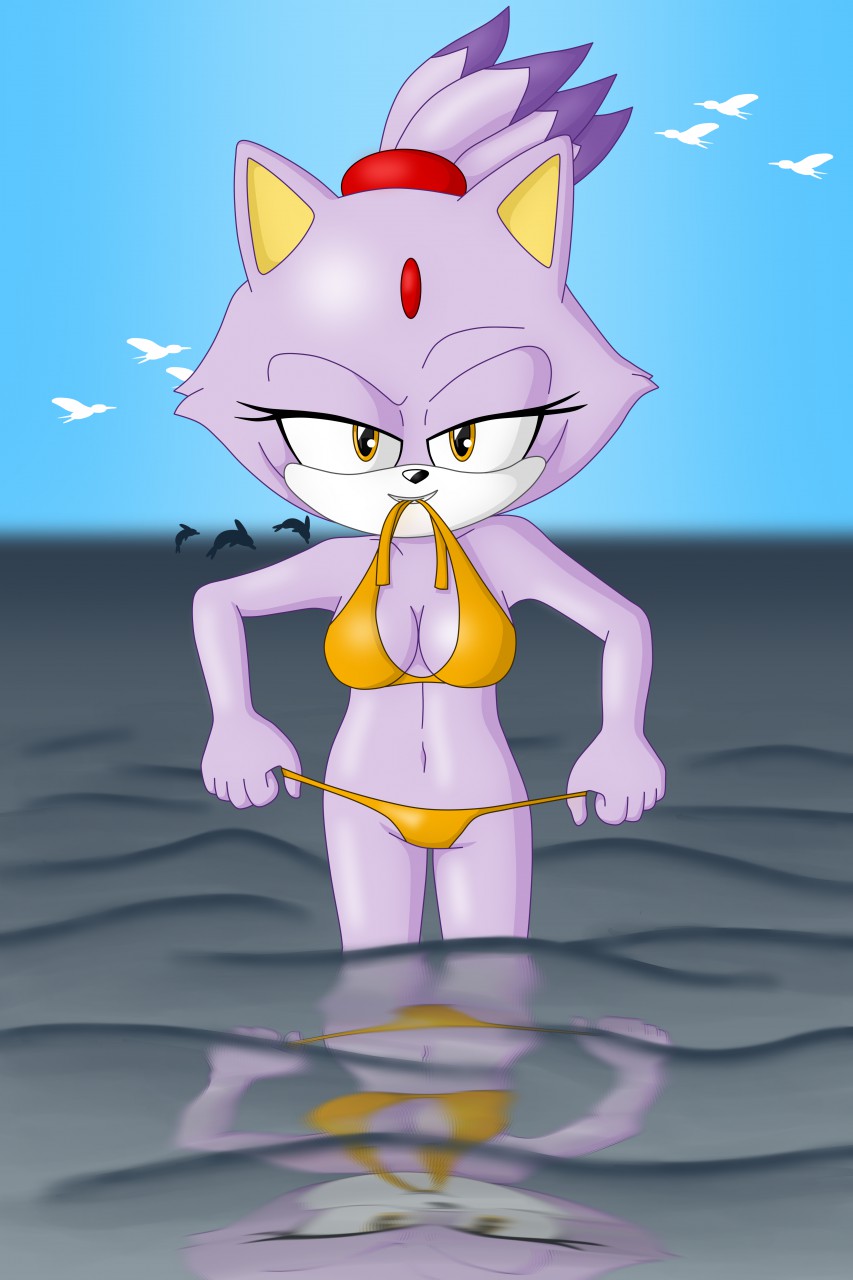 2018 5_fingers anthro anthro_focus avian beach bedroom_eyes biped bird black_nose blaze_the_cat breasts cetacean cleavage clothed clothing delphinoid digital_media_(artwork) eyebrows eyelashes female feral fingers forehead_gem fur glistening grin group gull hi_res holding_bikini_bottom lari larid looking_at_viewer mammal marine narrowed_eyes naughty_face navel partially_submerged purple_body purple_fur raised_eyebrow reflection sea seaside seductive sega sergeant16bit sky smile solo_focus sonic_the_hedgehog_(series) standing toothed_whale water water_reflection yellow_eyes