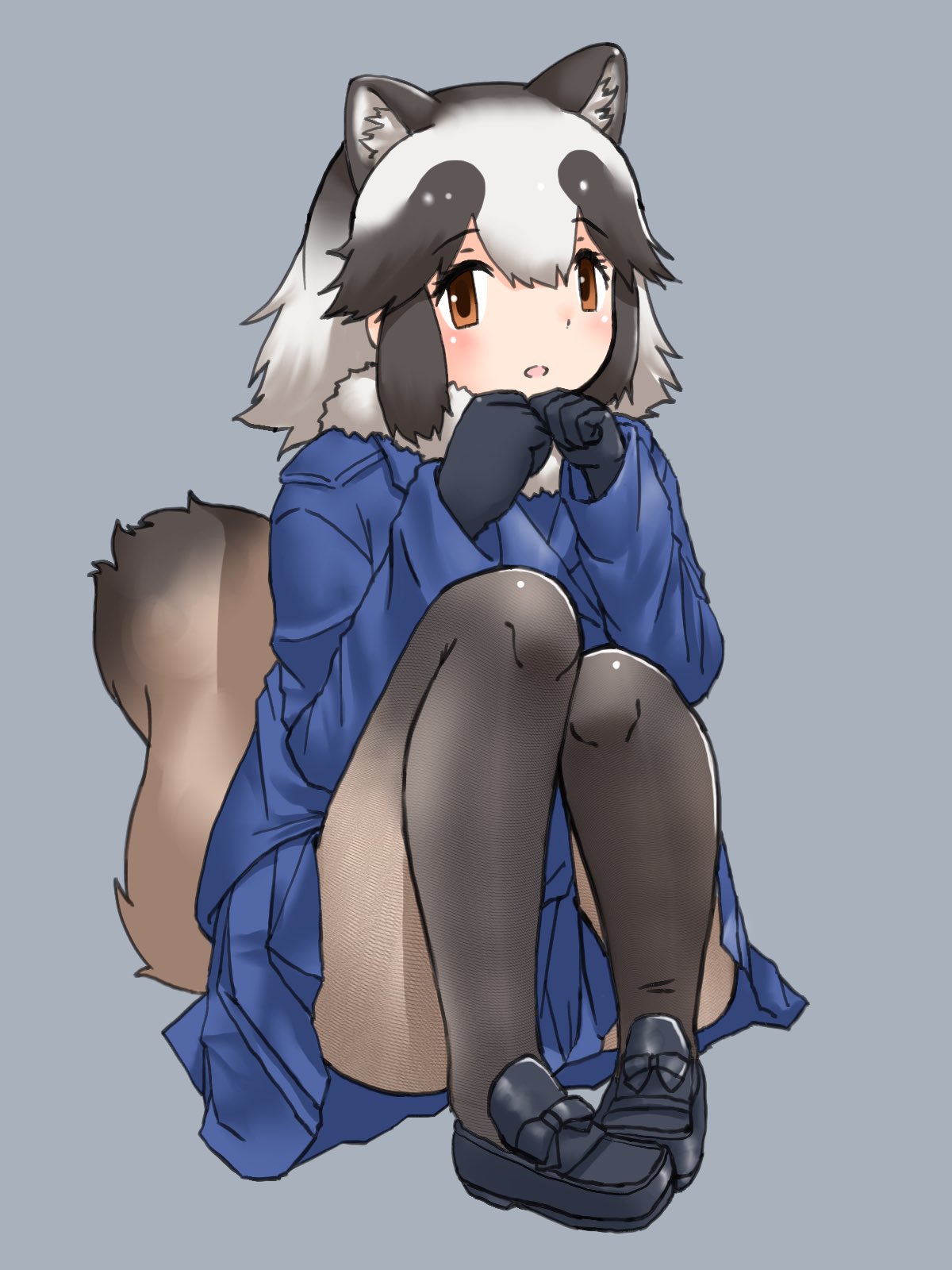 1girl animal_ears black_footwear black_gloves blue_jacket blush bow brown_eyes brown_hair brown_pantyhose extra_ears footwear_bow fur_collar gloves gradient gradient_legwear grey_hair highres jacket kemono_friends knees_to_chest loafers long_sleeves multicolored_hair pantyhose raccoon_ears raccoon_girl raccoon_tail shoes sidelocks sitting solo tail tanuki_(kemono_friends) two-tone_hair uf34a white_fur