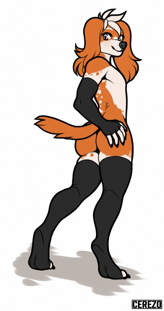 anthro arm_warmers armwear butt canid canine canis cerezo clothing digitigrade domestic_dog elbow_gloves fingerless_gloves floppy_ears footwear fur gloves hair handwear legwear looking_at_viewer looking_back male mammal multicolored_body multicolored_fur orange_body orange_fur pecas_(freckles) simple_background smile socks solo stockings toeless_footwear toeless_legwear toeless_socks toeless_stockings two_tone_body two_tone_fur white_background white_body white_fur white_hair wide_eyed