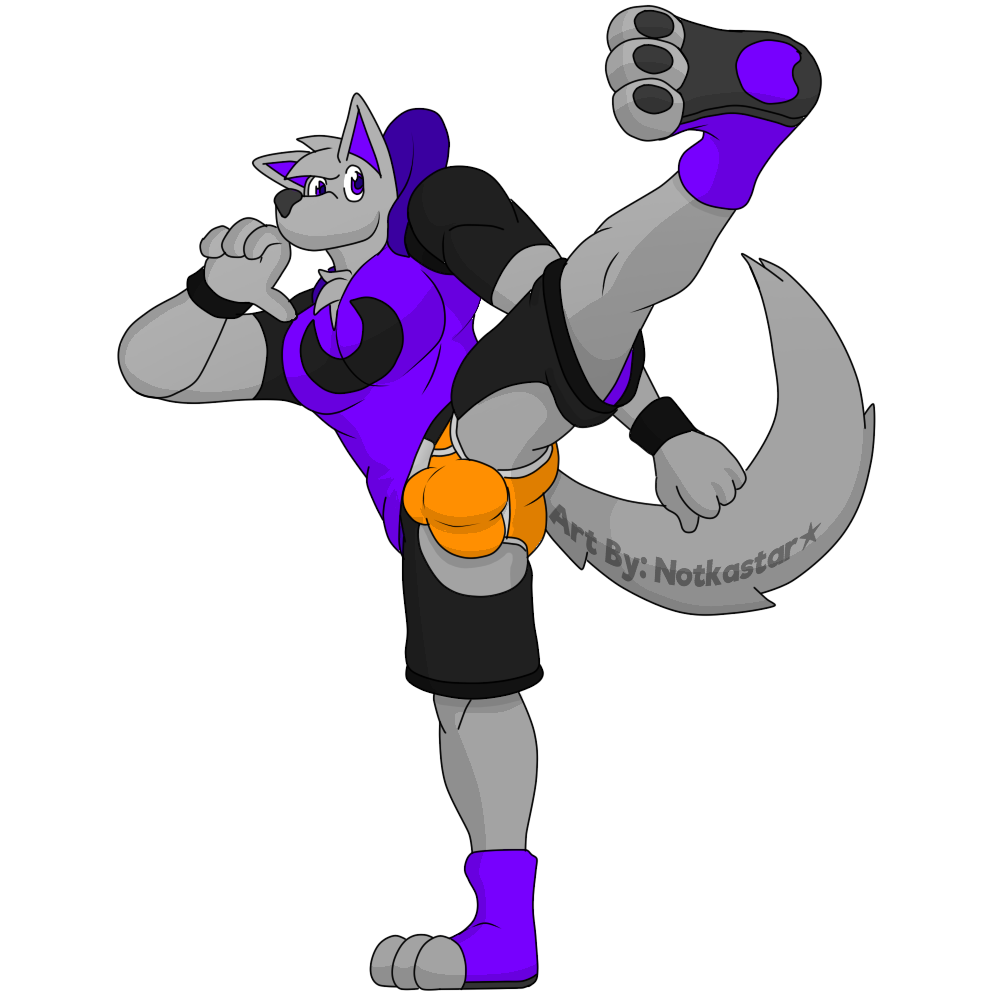 animal_genitalia anthro balls_outline bottomwear briefs bulge canid canine canis chaps clothing genital_outline genitals hoodie kick male mammal moon notkastar pose sheath shirt shorts solo taekwondo topwear underwear wolf zatch_(notkastar)