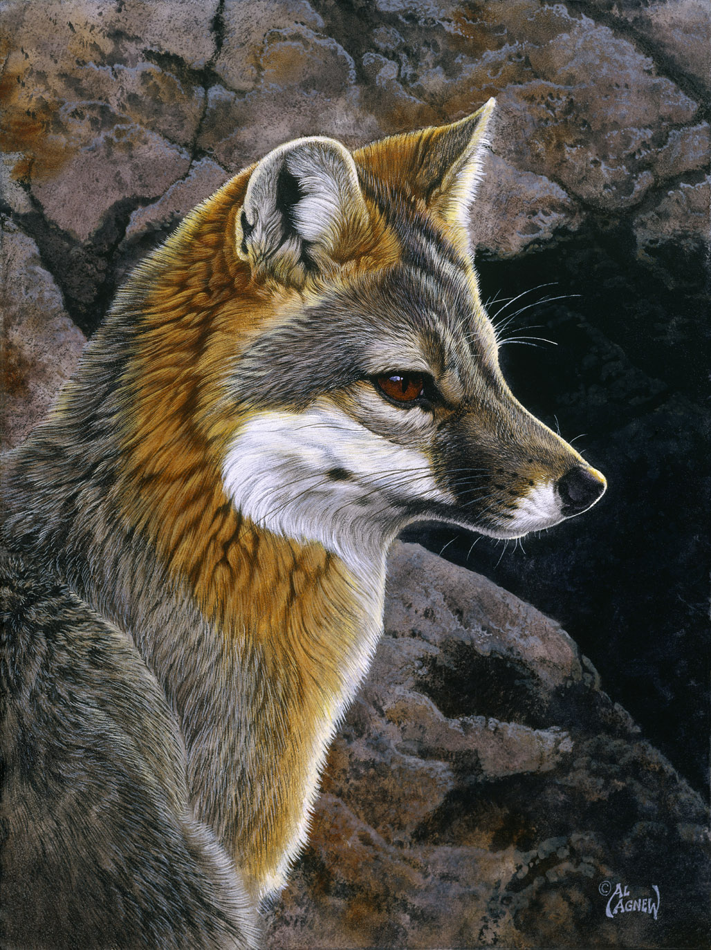 al_agnew ambiguous_gender black_body black_fur black_nose brown_eyes canid canine countershade_torso countershading day detailed_background feral fur fur_markings grey_fox hi_res looking_aside mammal markings nature nature_background orange_body orange_fur outside painting_(artwork) photorealism realistic_feral realistic_fur sitting solo traditional_media_(artwork) urocyon whiskers white_body white_fur