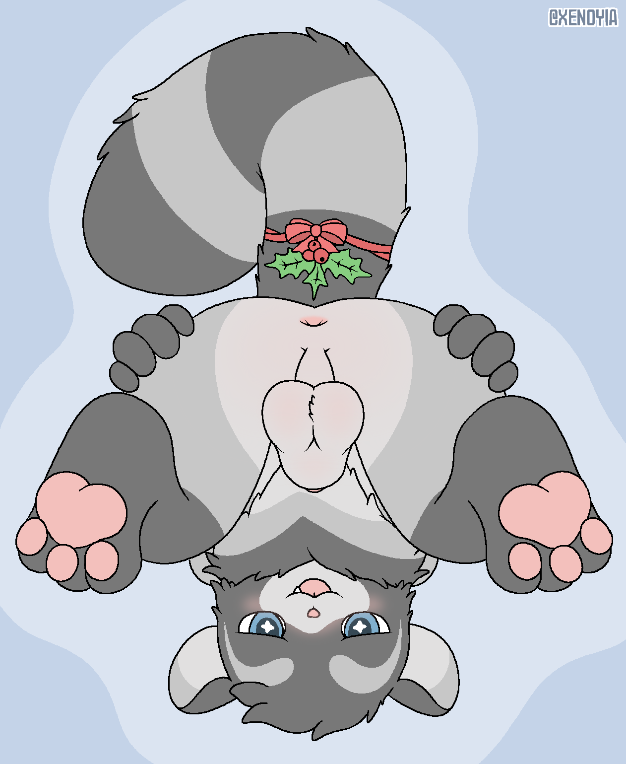 animal_genitalia anus balls canid canine genitals hi_res mammal mistletoe mistletoe_bow mistletoe_on_tail pawpads paws plant presenting procyonid raccoon raccoon_dog sheath tanuki upside_down xen_(xenoyia) xenoyia_(artist)