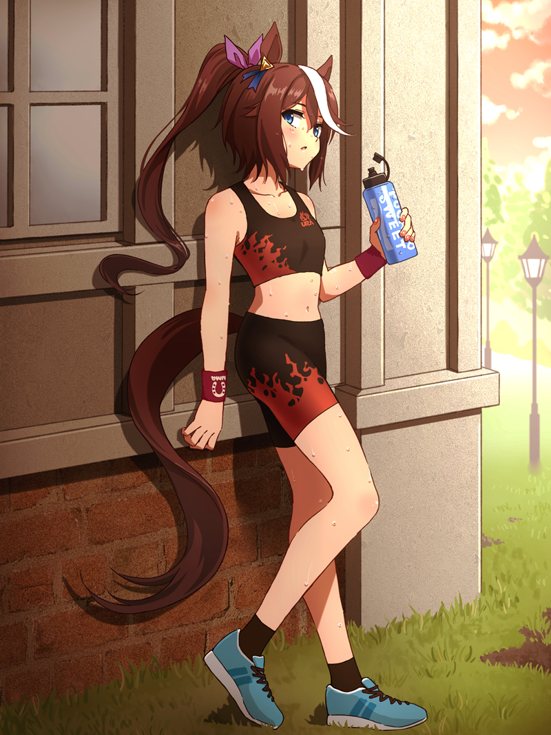 1girl alternate_costume animal_ears bare_shoulders bike_shorts black_socks blue_eyes bottle breasts brown_hair building cloud collarbone crop_top flame_print full_body genny grass hand_up heel_up holding holding_bottle horse_ears horse_girl horse_tail lamppost long_hair looking_at_viewer midriff multicolored_hair navel outdoors parted_lips ponytail shoes small_breasts sneakers socks solo standing streaked_hair sweat sweatband tail tank_top tokai_teio_(umamusume) umamusume very_long_hair water_bottle