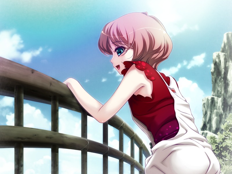 1girl aqua_eyes brown_hair game_cg hell_guide m_no_violet outdoors sky solo