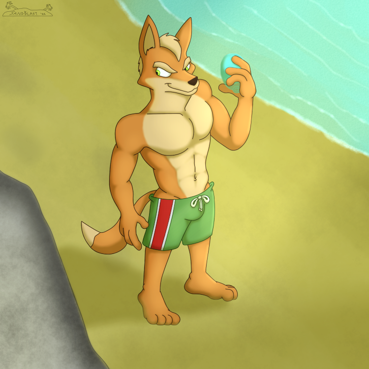 2022 4_fingers 4_toes abs anthro barefoot beach bird's-eye_view bottomwear canid canine clothed clothing eyebrows feet fingers fox fox_mccloud hair high-angle_view looking_back male mammal muscular muscular_anthro muscular_male nintendo pecs rock sand sandblastcoyote sea seaside seeking shorts shorts_only smile snout solo star_fox swimming_trunks swimwear toes water water_balloon