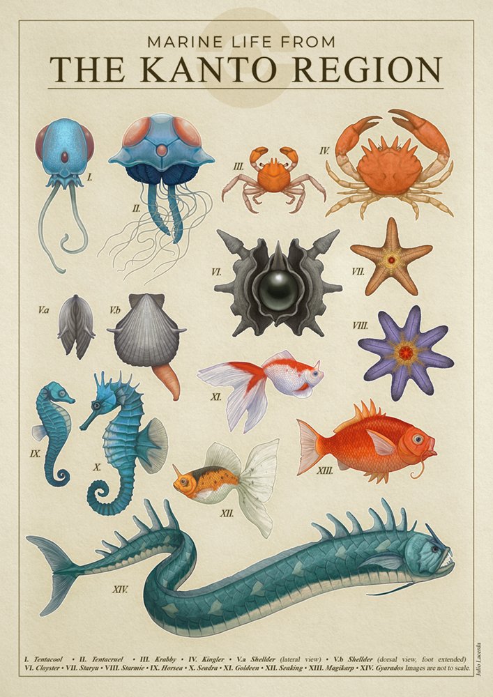 clam cloyster crab eel english_commentary english_text fish goldeen gyaru horsea jellyfish julio_lacerda kingler krabby label magikarp no_humans pokemon pokemon_(creature) realistic seadra seahorse seaking shellder starfish starmie staryu tentacool tentacruel