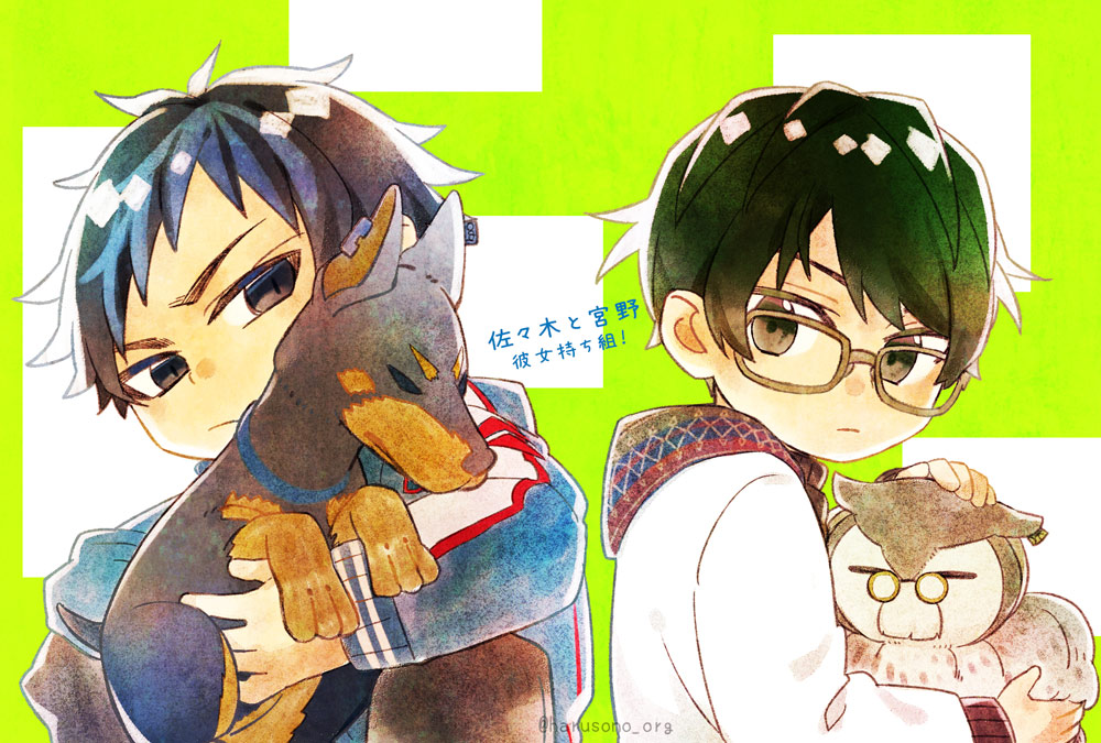 2boys bird black_eyes black_hair brown_eyes chibi doberman glasses green_background green_hair haruzono kuresawa_tasuku long_sleeves male_focus multicolored_background multiple_boys ogasawara_jirou owl sasaki_to_miyano short_bangs short_hair white_background