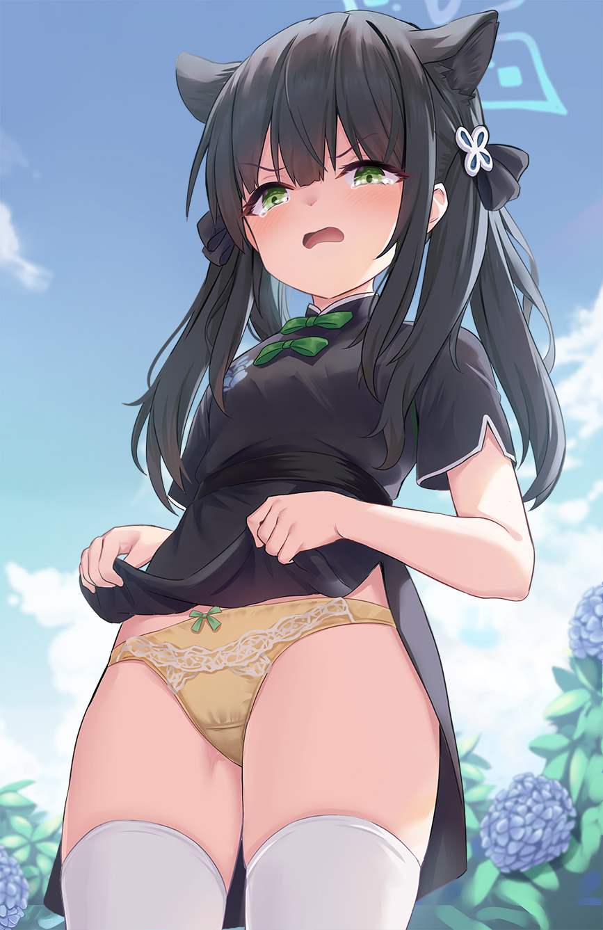 1girl animal_ear_fluff animal_ears bangs black_dress black_hair blue_archive blue_sky blush breasts china_dress chinese_clothes clothes_lift dress dress_lift green_eyes hair_ornament halo highres long_hair looking_at_viewer open_mouth panties shimokirin short_sleeves shun_(blue_archive) shun_(small)_(blue_archive) side_slit sky small_breasts solo tearing_up thighhighs thighs tiger_ears tiger_girl two_side_up underwear white_thighhighs yellow_panties
