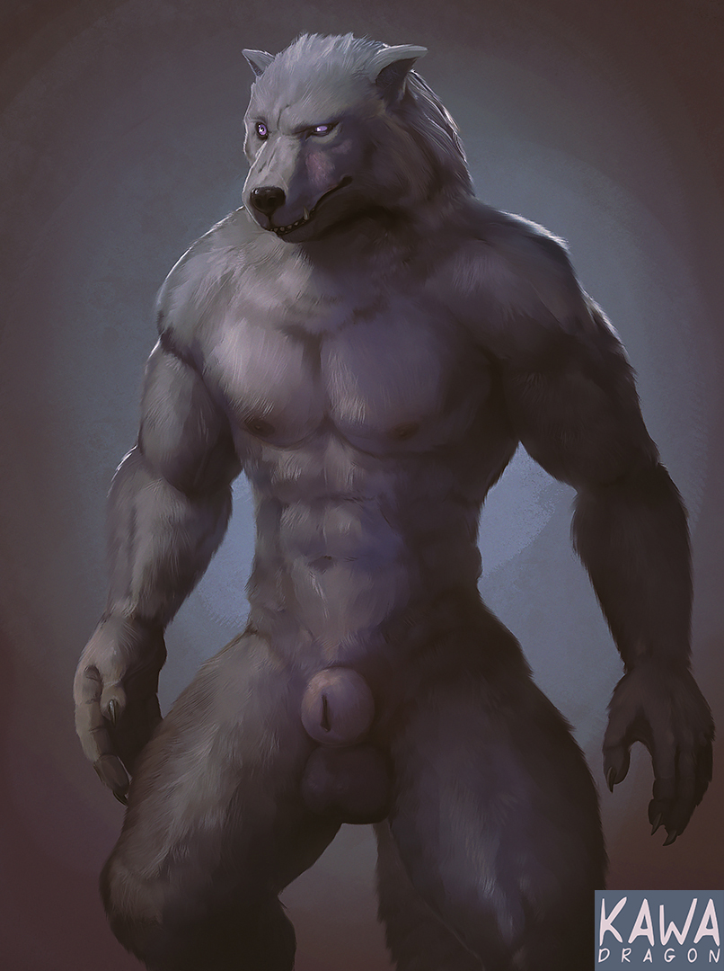 abs animal_genitalia anthro balls blaidd_(elden_ring) canid canine canis claws drakawa elden_ring fromsoftware fully_sheathed fur genitals grey_body grey_fur male mammal muscular muscular_anthro muscular_male nude pecs purple_eyes sheath solo standing wolf