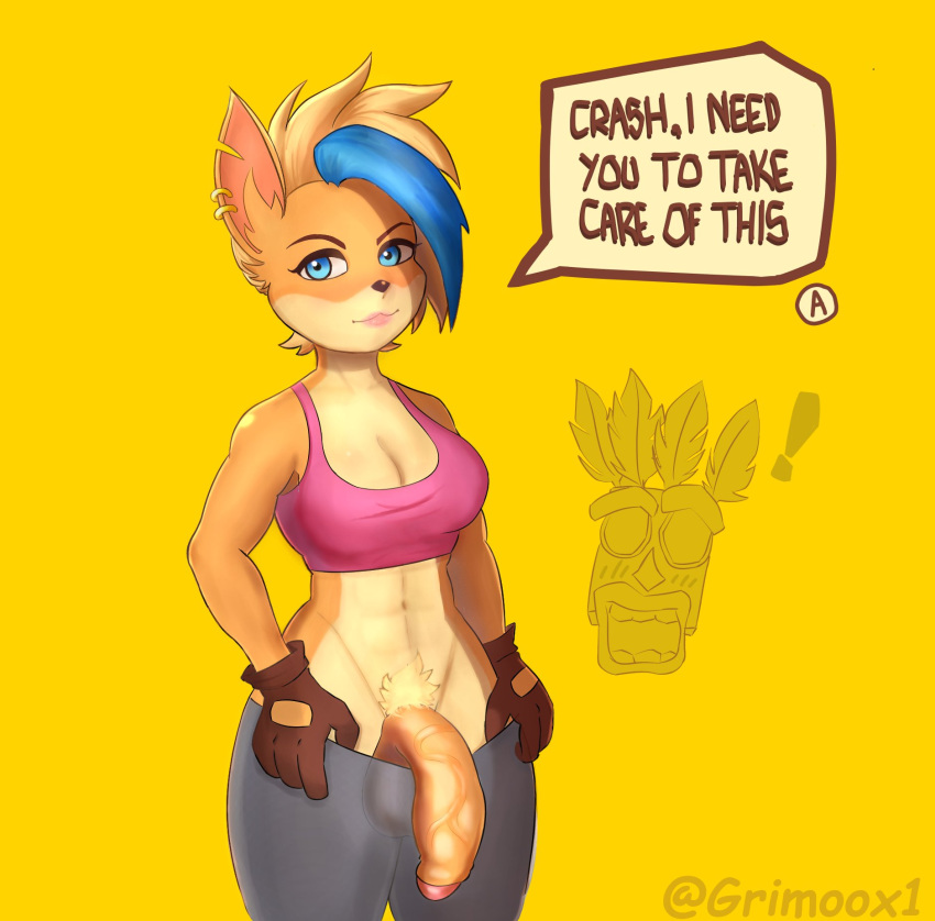 activision aku_aku anthro blue_eyes bra clothing crash_bandicoot_(series) dialogue ear_piercing flashing_penis genitals gloves grimoox1 gynomorph handwear intersex male penis piercing speech_bubble sports_bra tawna_bandicoot underwear