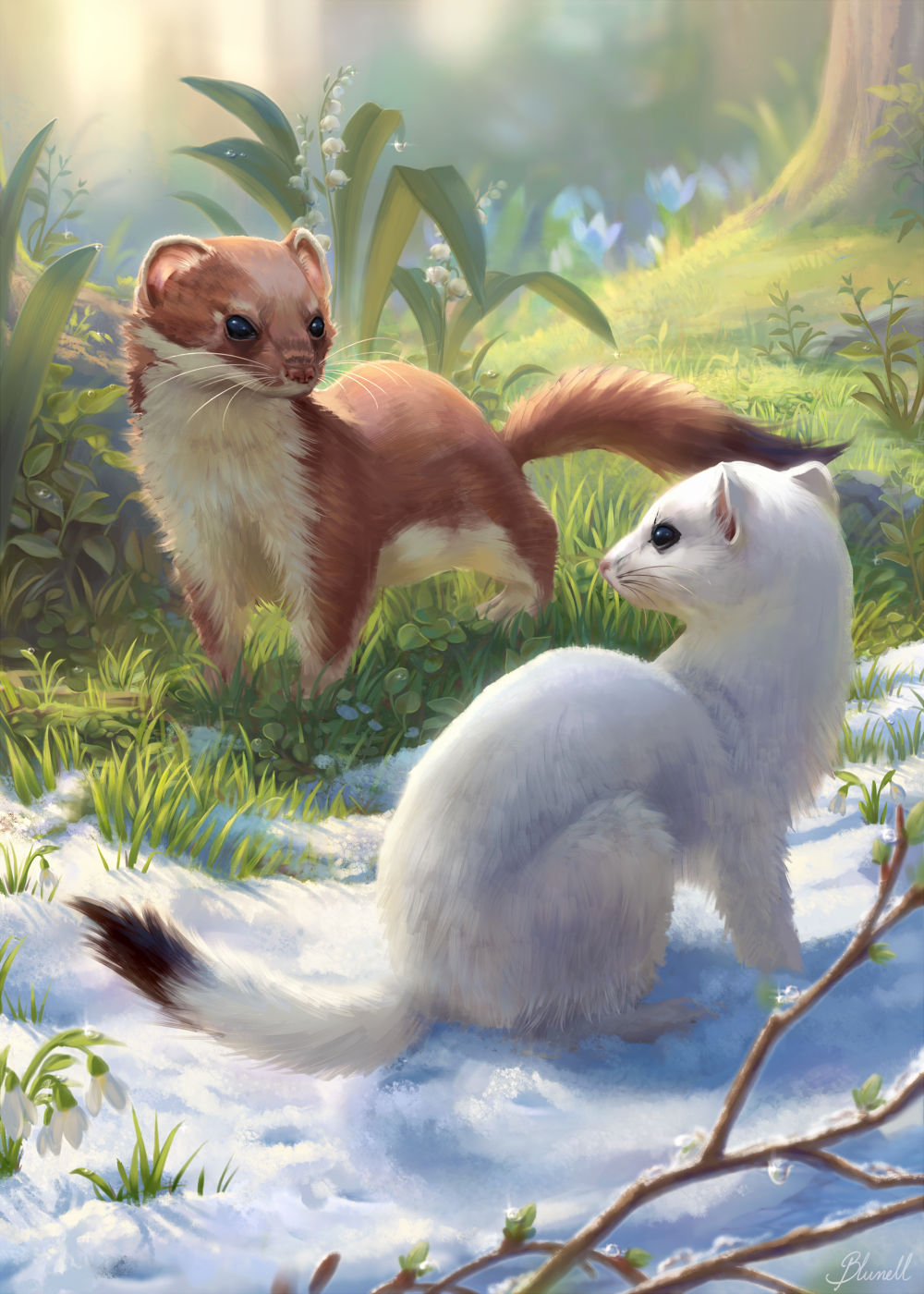 animal animal_focus artist_name blunell_(artist) blurry branch brown_fur commentary_request depth_of_field ermine grass highres nature no_humans original outdoors signature snow watermark weasel white_fur