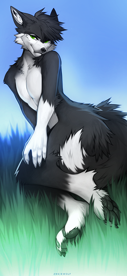 2023 4_toes 5_fingers angiewolf black_body black_fur day detailed_background digital_media_(artwork) feet fingers fur grass green_eyes looking_at_viewer outside plant sky smile toes white_body white_fur