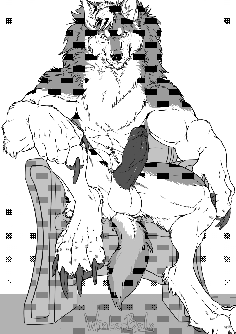 anthro balls bfw canid canine canis chair claws erection fur furniture genitals hi_res humanoid_genitalia humanoid_penis looking_at_viewer male mammal monochrome muscular muscular_anthro muscular_male nude penis sitting solo toe_claws winterbalg wolf