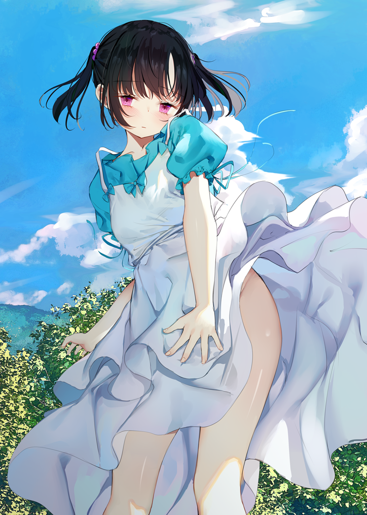 1girl black_hair blue_shirt blue_sky blunt_bangs blush closed_mouth cloud cloudy_sky collarbone contrapposto covering covering_crotch day dot_nose dress dress_tug feet_out_of_frame floating_clothes hair_ornament hair_scrunchie kamizaki_hibana legs_apart long_bangs looking_at_viewer nature no_panties original outdoors pleated_dress puffy_short_sleeves puffy_sleeves purple_eyes raised_eyebrows scrunchie shirt short_hair short_sleeves short_twintails sidelocks sky sleeveless sleeveless_dress solo thighs tree twintails white_dress wind wind_lift