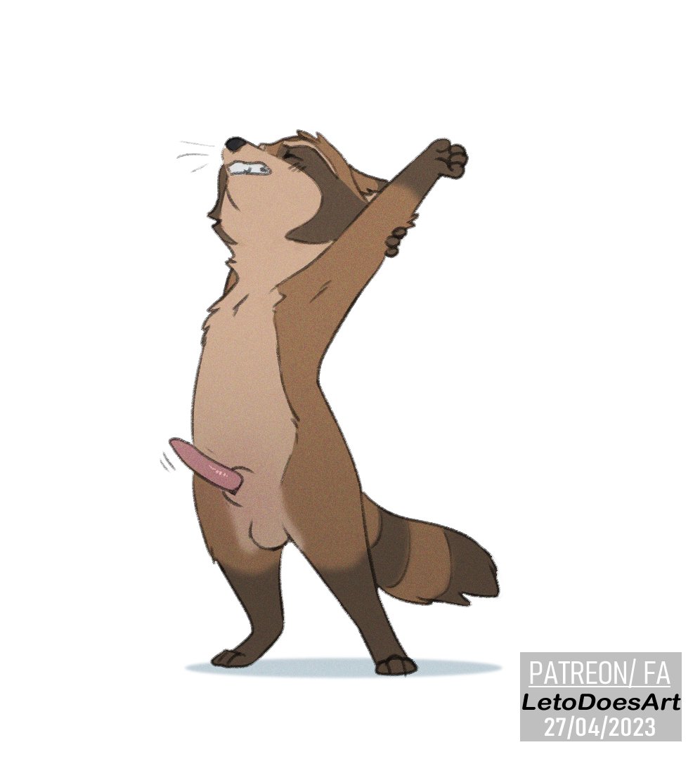 anthro balls erection eyes_closed genitals letodoesart male mammal penis procyonid raccoon rico_(letodoesart) solo stretching