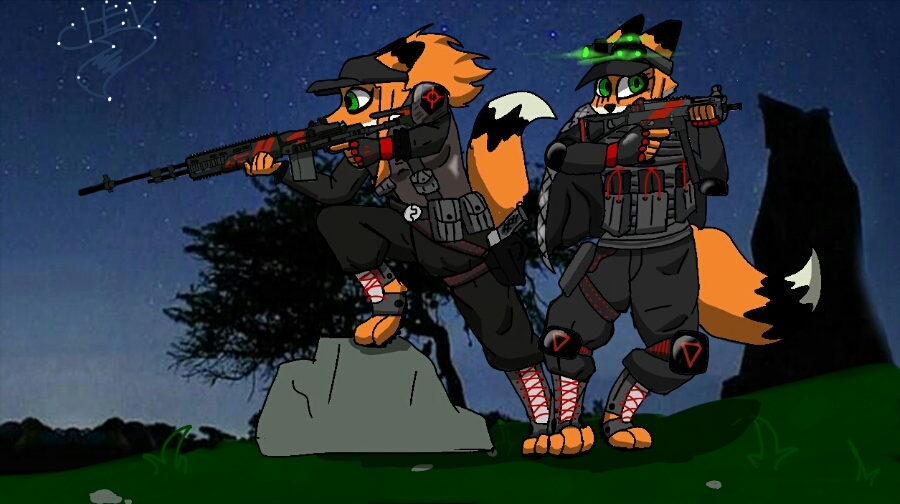 anthro bulletproof_vest canid canine chen_(foxchen) clothed clothing digital_media_(artwork) duo fem_(foxchen) female fluffy fluffy_tail fox foxchen fur gun hair hat headgear headwear hunter male male/female mammal mk18 night plant ranged_weapon rifle size_difference solo star tactical tail ump45 uniform weapon