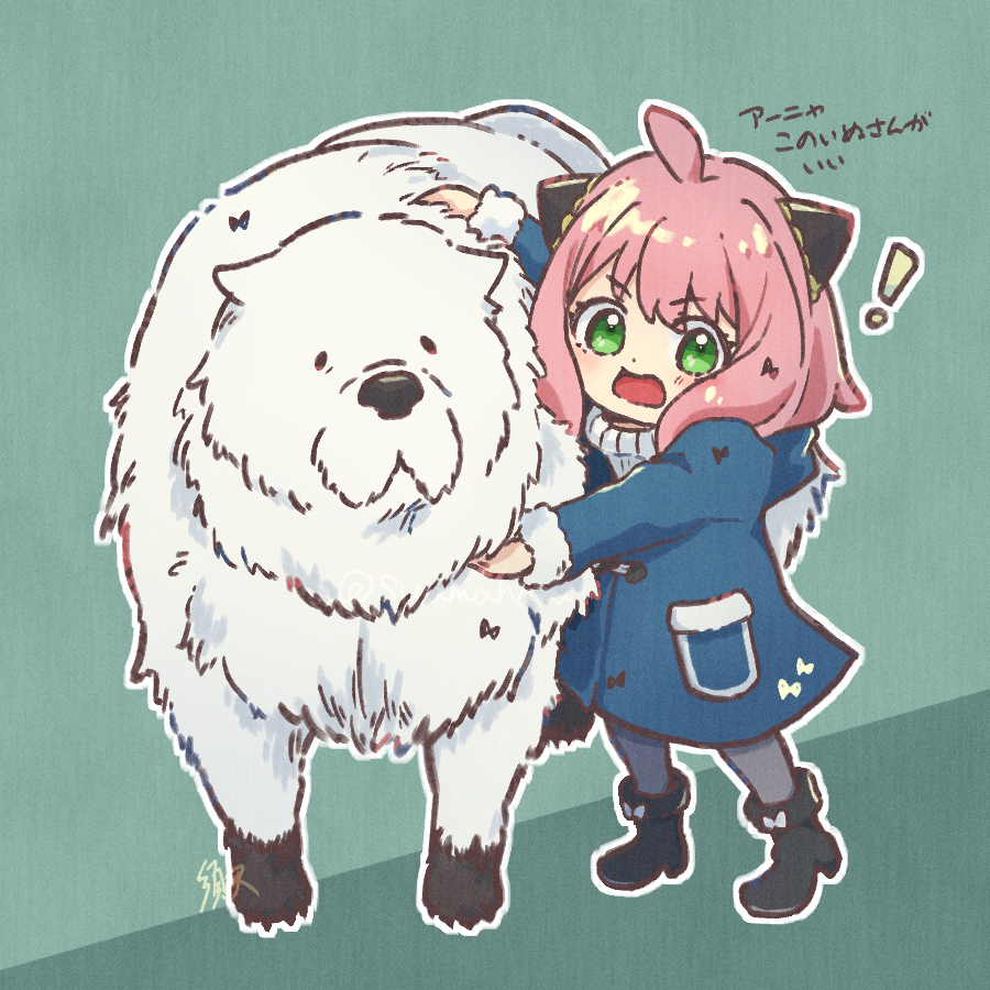 ! 1girl ahoge animal_hug anya_(spy_x_family) artist_name black_footwear blue_coat blush bond_(spy_x_family) boots child coat commentary_request cone_hair_bun dog double_bun eyelashes fur-trimmed_sleeves fur_trim great_pyrenees green_background green_eyes grey_pantyhose hair_between_eyes hair_bun hairpods haru1suama hug long_sleeves looking_at_viewer medium_hair open_mouth outline pantyhose pink_hair pocket ribbed_sweater sidelocks signature simple_background spy_x_family standing sweater translation_request turtleneck turtleneck_sweater twitter_username two-tone_background v-shaped_eyebrows white_outline white_sweater