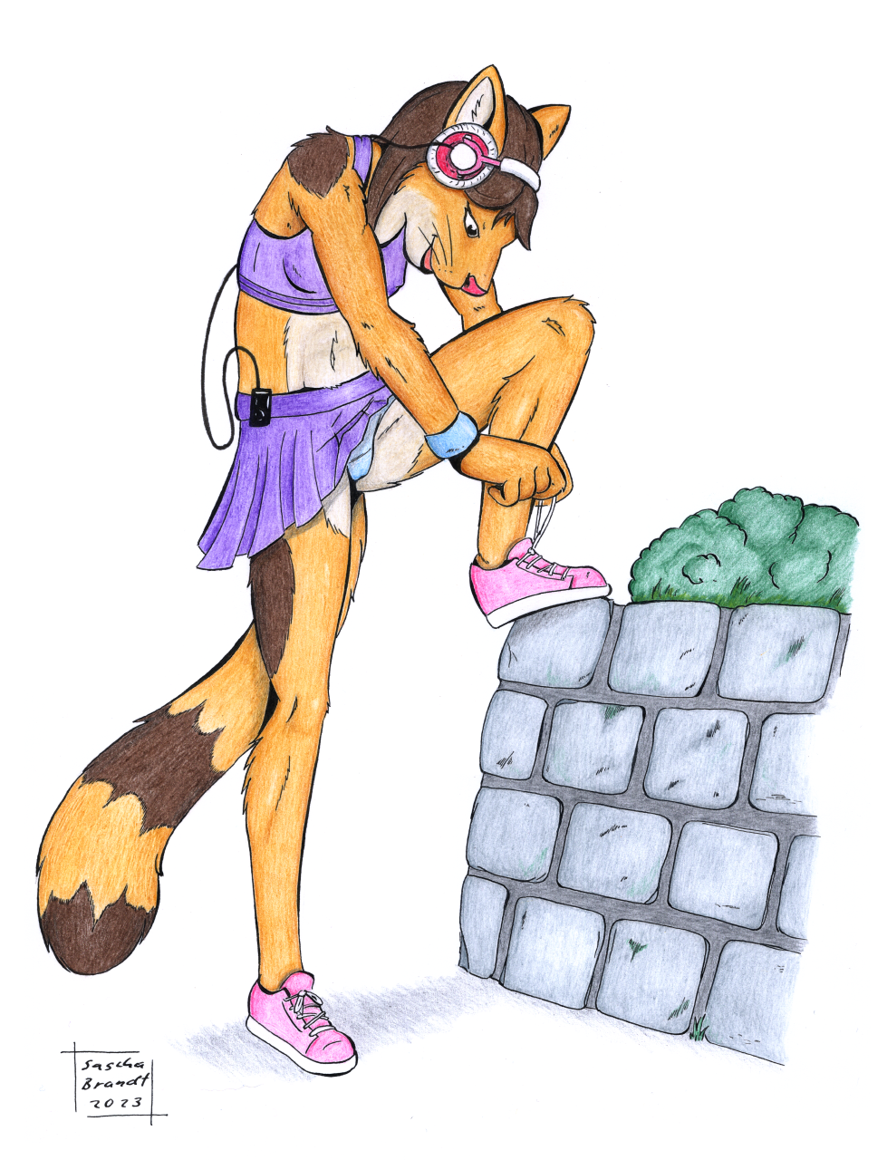 anthro bellytop clothing domestic_cat felid feline felis female headphones hi_res lionclaw1 mammal panties solo traditionalart underwear upskirt walkman whiskers