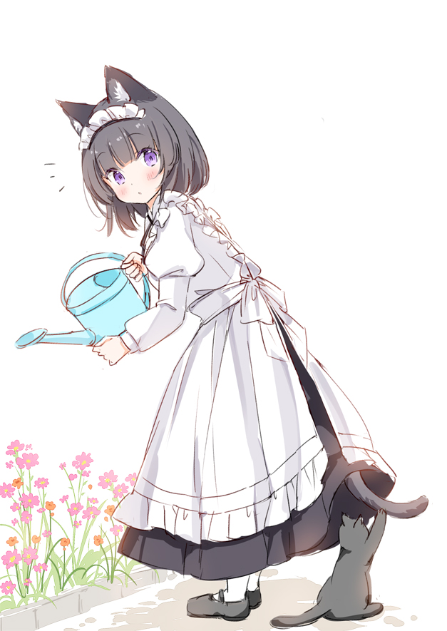 1girl animal animal_ear_fluff animal_ears apron black_cat black_footwear black_hair black_skirt blush cat cat_ears closed_mouth commentary_request flower frilled_apron frills full_body holding juliet_sleeves komugi_(wataame27) long_sleeves maid maid_apron maid_headdress original pantyhose puffy_sleeves purple_eyes purple_flower shirt shoes short_hair simple_background skirt solo wataame27 watering_can white_apron white_background white_pantyhose white_shirt